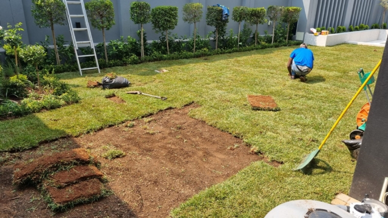 Garden Design & Planning