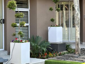 IMG-20221002-WA0020-300x225