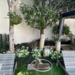 ee543310-bab5-411b-b252-6fbd52233188