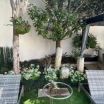 ee543310-bab5-411b-b252-6fbd52233188-640x853