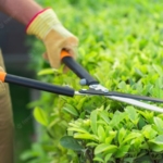 gardening-cutting-gardener-bush-garden-utensils-using-hedge-trimmer_488220-16325-768x512